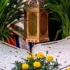 صورة المستخدم