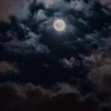 صورة المستخدم