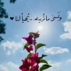 صورة المستخدم