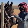 صورة المستخدم