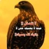 صورة سـووري