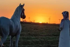 صورة غلاف آتخ ـيل آعطـيك وج ـه