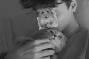 صورة غلاف ies_2