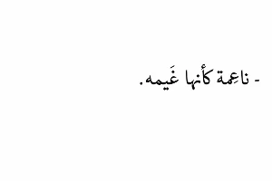 صورة الغلاف