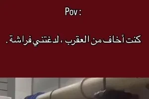 صورة الغلاف