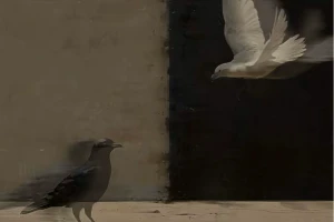 صورة غلاف جـ٭ـۦـنــ gnatـ٭ـات