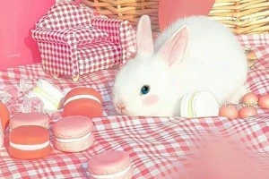 صورة الغلاف