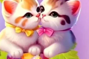 صورة غلاف يوسف القريشي_0ni