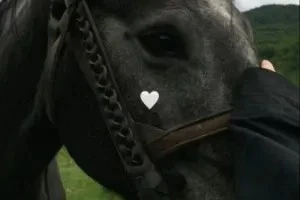 صورة غلاف فٌخًامًة مًلكًه٭٭