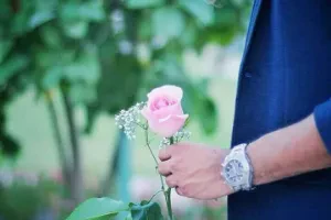 صورة الغلاف