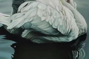 صورة الغلاف