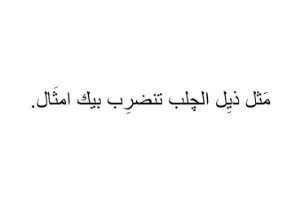 صورة الغلاف