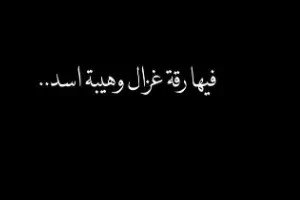 صورة الغلاف