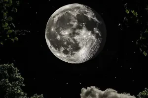 صورة غلاف كرار.،؟ًٌَ