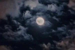 صورة الغلاف