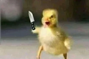 صورة الغلاف