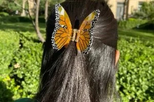 صورة الغلاف