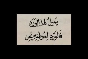 صورة غلاف ٭  Hۦ٭ۦHۦ٭ۦ Nۦ٭ۦOۦ٭ۦ N ٭.