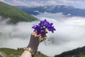 صورة غلاف آلَـبًـنِـدٍريَ ٠