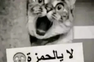 صورة الغلاف