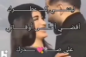 صورة الغلاف