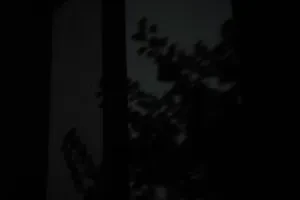 صورة غلاف ۿ٭ــٰــ٭ــۈڛ